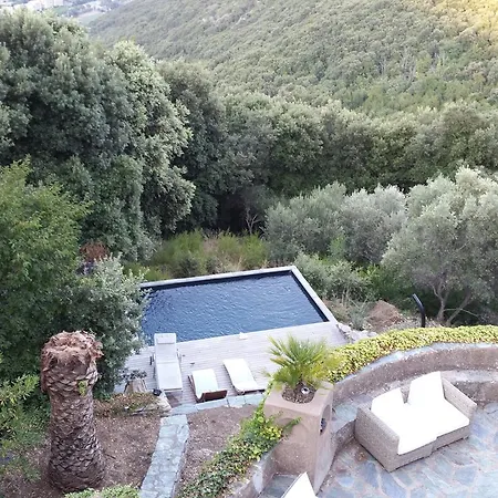 Maison Vue Mer Et Piscine * San-Martino-di-Lota